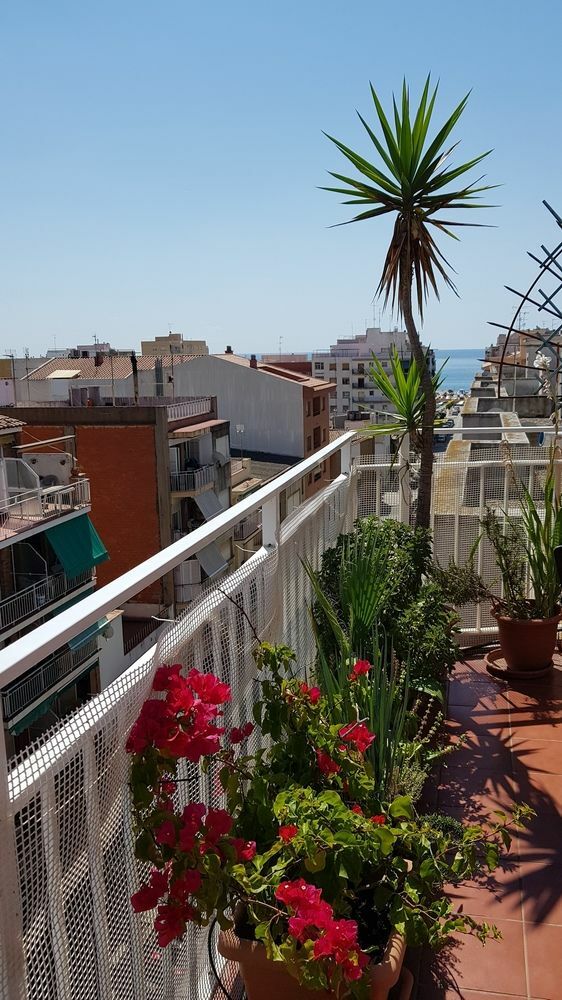 Apartamento Mediterraneo 皮内达德马尔 外观 照片